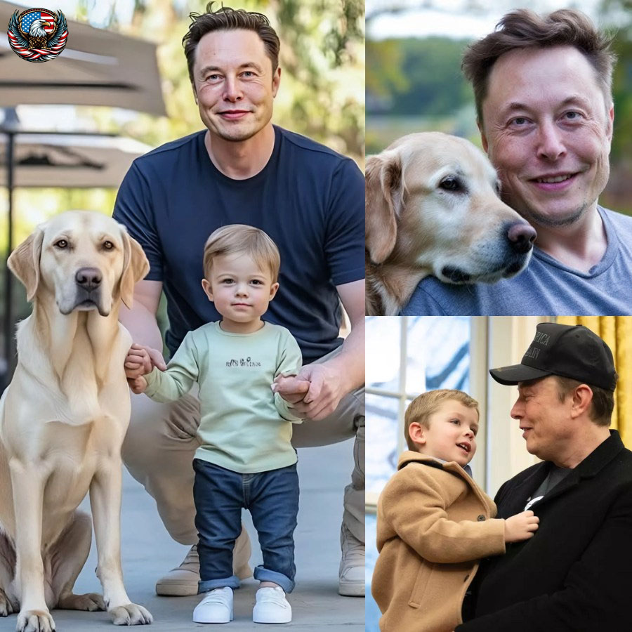 A sweet encounter between Elon Musk’s son, X Æ A-Xii, and a special guest has gone viral. The adorable video shows the little boy’s charming smile and joyful interaction, melting the internet’s heart.