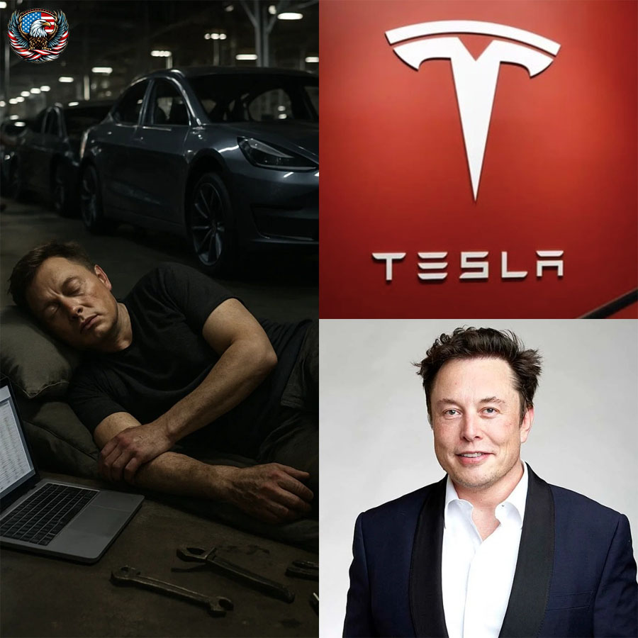 From “bankrupt by summer” to billion-dollar dominance—Elon Musk’s all-night war inside the Tesla factory became the moment the auto world changed forever.