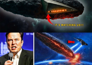 “We will destroy it!” – Elon Musk declares war-on a colossal alien object. The 31/Atlas ship has been activated.
