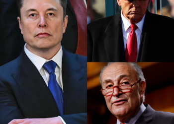 Elon Musk Drops Bombshell on Democrats: “They’re Prolonging the Shutdown to Buy Future Voters!”