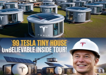 It’s here: the Tesla tiny house has reportedly launched in the U.S., with avant-garde specs, free land offers and zero taxes touted