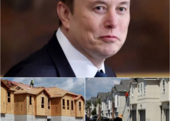 Elon Musk Shocks the World With Bold Philanthropic Move: Donates Entire $14.9 Million Tour Earnings to Build Homes for the Homeless