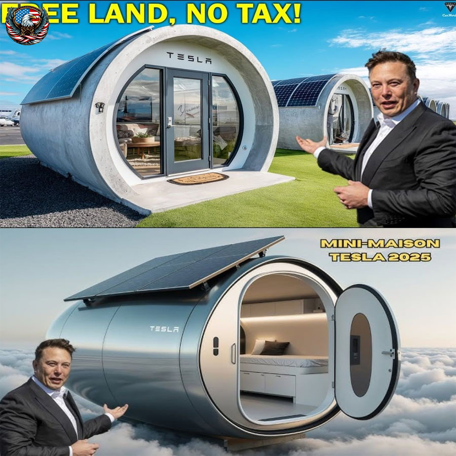 Breaking News — Elon Musk Unveils Tesla Tiny House for Only $7,999