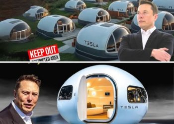 Elon Musk Building a ‘Slave City’ in Texas? His Corporate Empire Ambition Sparks Major Concerns!