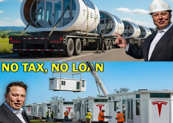 BREAKING: ELON MUSK ANNOUNCES 100 TESLA TINY HOUSES READY TO SHIP — FREE BILLS, ZERO TAXES, AND SURPRISING INTERIORS!